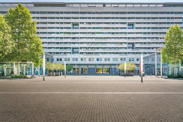 Immobilier Entreprises49